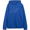 4FWAW25TSWSM1980-36S,4F hoodie
